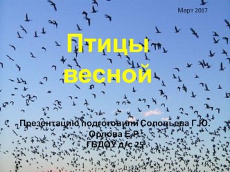 Презентация птицы весной презентация к уроку по окружающему миру (средняя группа)