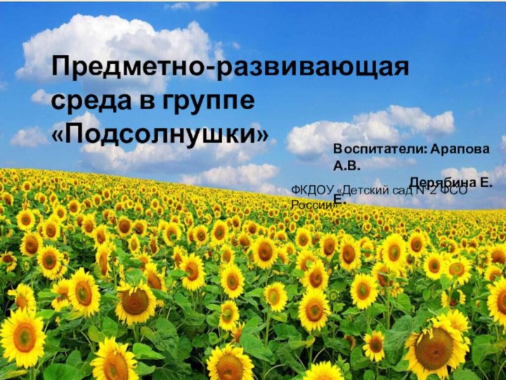 Предметно-развивающая среда в группе «Подсолнушки»Воспитатели: Арапова А.В.