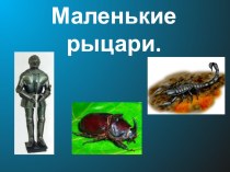 Маленькие рыцари презентация к уроку по окружающему миру по теме