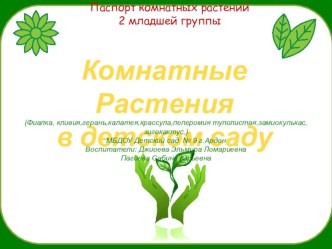 Паспорт комнатных растений презентация к уроку (младшая группа)