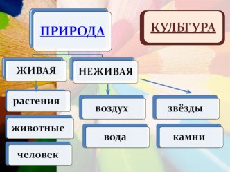 Урок по окружающему миру 1 класс УМК Перспектива Тема Наш класс в школе план-конспект урока по окружающему миру (1 класс)