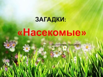 Презентация Насекомые презентация к уроку по окружающему миру (средняя группа)