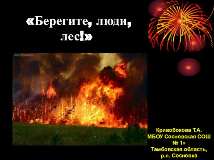 «Берегите, люди, лес!»Кривобокова Т.А.МБОУ Сосновская СОШ № 1»Тамбовская область,р.п. Сосновка