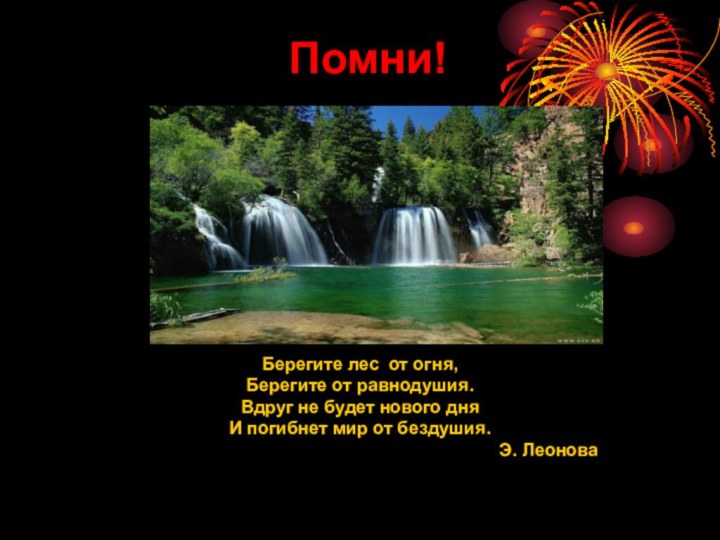 Берегите лес от огня,Берегите от равнодушия.Вдруг не будет нового дняИ погибнет мир