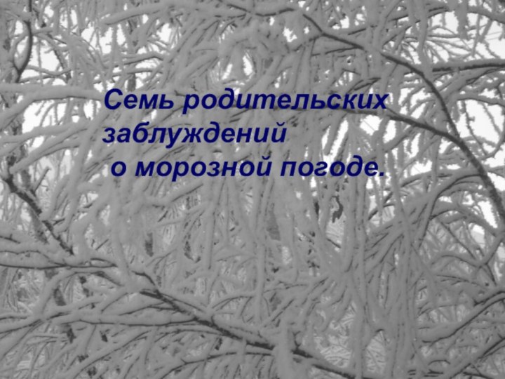 Семь родительских заблуждений о морозной погоде.