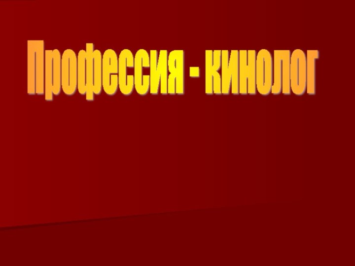 Профессия - кинолог