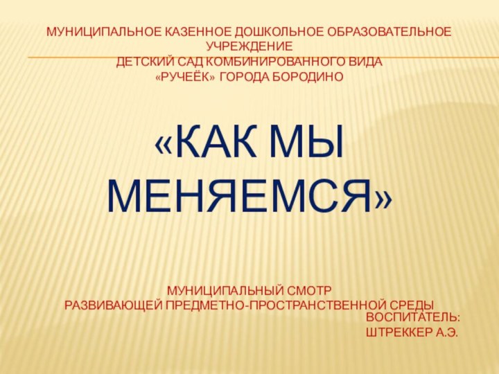 МУНИЦИПАЛЬНОЕ КАЗЕННОЕ ДОШКОЛЬНОЕ ОБРАЗОВАТЕЛЬНОЕ УЧРЕЖДЕНИЕ  ДЕТСКИЙ САД КОМБИНИРОВАННОГО ВИДА  «РУЧЕЁК»