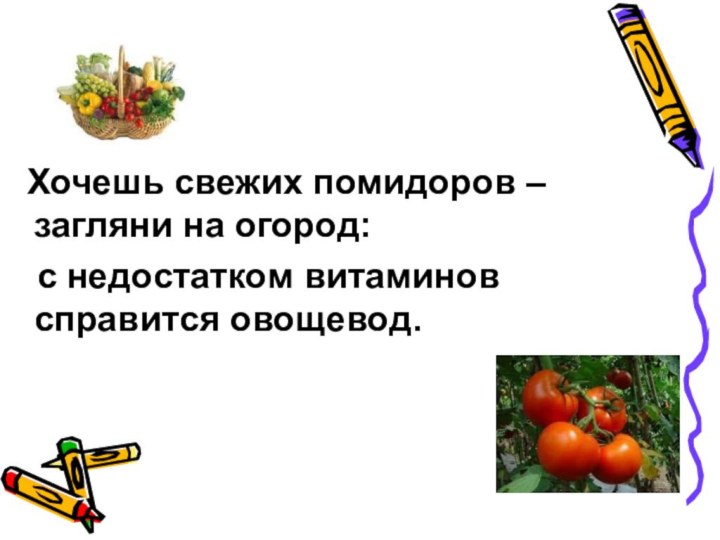 Хочешь свежих помидоров – загляни на огород:  с недостатком витаминов справится овощевод.