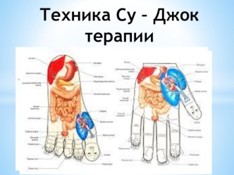 Су - джок терапия - презентация презентация по физкультуре