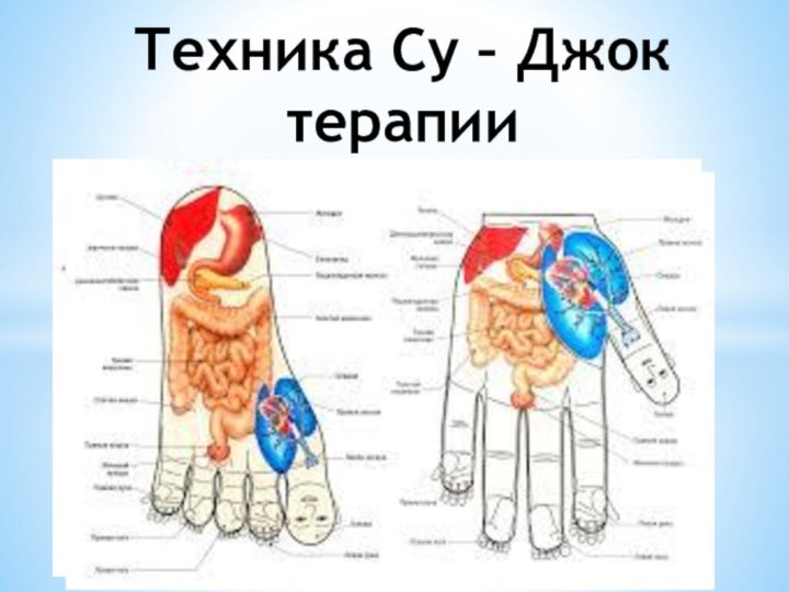 Техника Су – Джок терапии