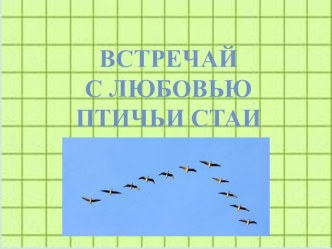 Сценарий экологического праздника Встречай с любовью птичьи стаи классный час (1, 2, 3, 4 класс)