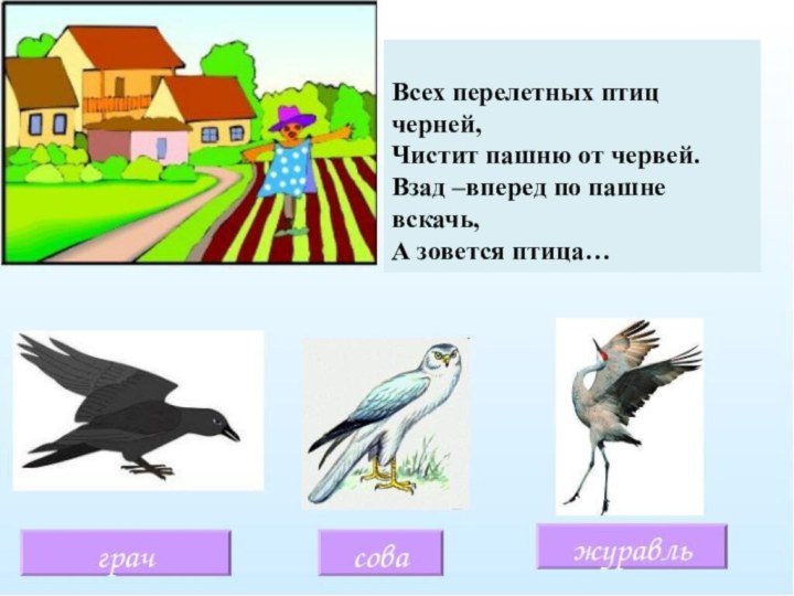 Всех перелетных птиц черней,Чистит пашню от червей.Взад –вперед по пашне вскачь, А зовется птица…