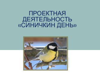 Проектная деятельность Синичкин день проект по окружающему миру (старшая группа) по теме