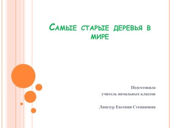 Самые старые деревья в мире презентация к уроку по окружающему миру