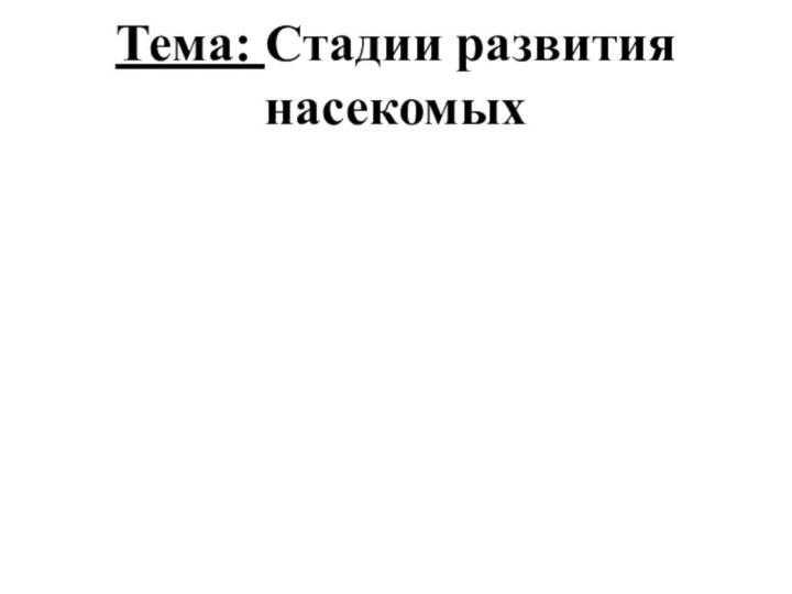 Тема: Стадии развития насекомых