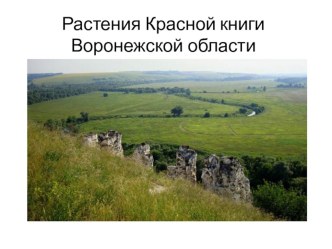 Презентация Растения Красной книги воронежской области презентация к уроку по окружающему миру (старшая, подготовительная группа) по теме