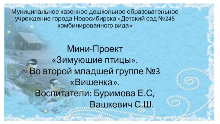 Муниципальное казенное дошкольное образовательное учреждение города Новосибирска «Детский сад №245 комбинированного вида»Мини-Проект