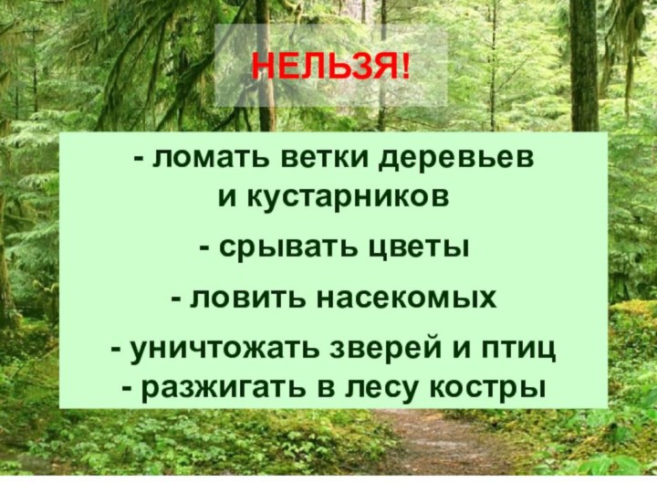 НЕЛЬЗЯ!- ломать ветки деревьев и кустарников- срывать цветы- ловить насекомых- уничтожать зверей