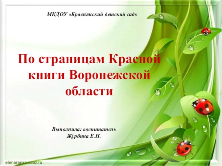 По страницам Красной книги Воронежской областиВыполнила: воспитатель Журбина Е.Н. МКДОУ «Краснянский детский сад»