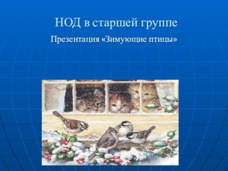 НОД в старшей группе Зимующие птицы презентация к уроку по окружающему миру (старшая группа)