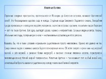 Презентация Животные Арктики презентация к уроку по окружающему миру (старшая группа)