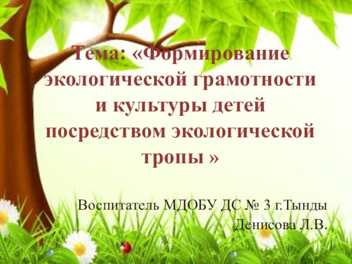  Воспитатель МДОБУ ДС № 3 г.Тынды Денисова Л.В.Тема: «Формирование экологической грамотности и