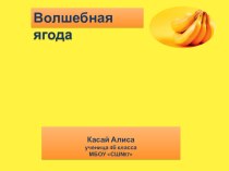 Научно - исследовательская работа Чудо ягода проект (3 класс)