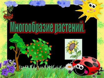 Презентация Разнообразие растений презентация к уроку по окружающему миру (1 класс)