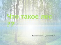 Учебно-методическое пособие Что такое лес презентация к уроку по окружающему миру (подготовительная группа)