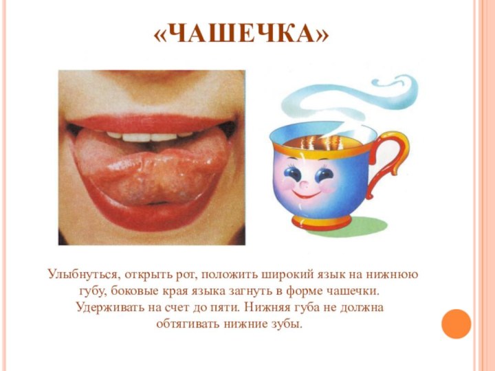 «ЧАШЕЧКА»