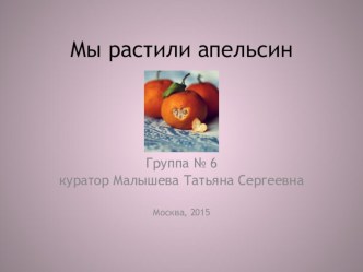 Презентация: Мы растили апельсин проект по окружающему миру (средняя группа)