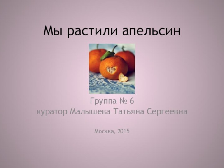 Мы растили апельсинГруппа № 6куратор Малышева Татьяна СергеевнаМосква, 2015