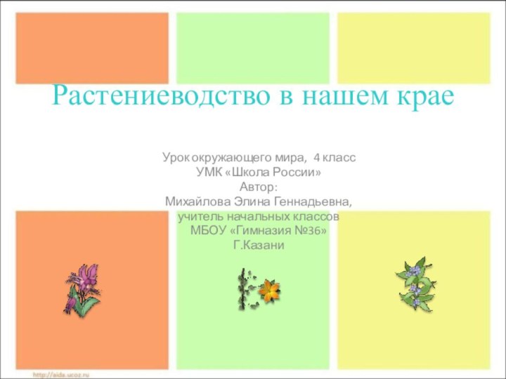 Растениеводство в нашем крае Урок окружающего мира, 4 классУМК «Школа России»Автор:Михайлова Элина