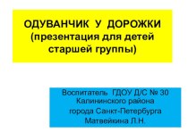 Одуванчик у дорожки презентация для детей старшей группы. презентация к занятию по окружающему миру (старшая группа) по теме