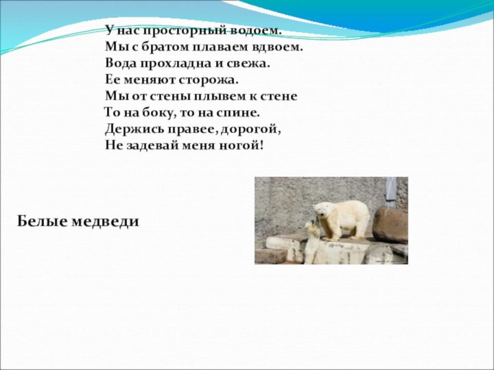 У нас просторный водоем. Мы с братом плаваем вдвоем. Вода прохладна и