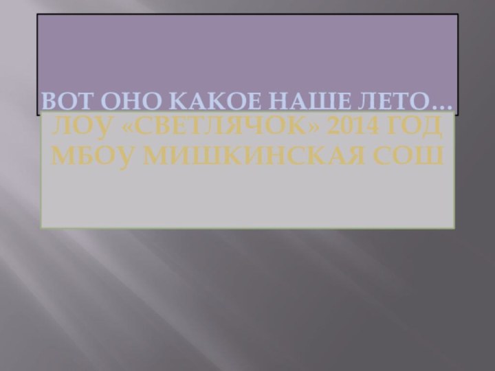 вот оно какое наше лето…Лоу «светлячок» 2014 годМБОУ Мишкинская СОШ