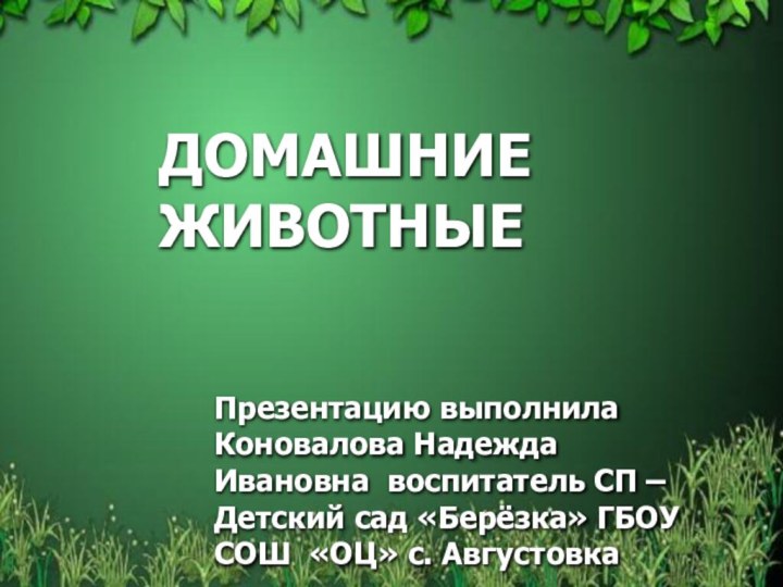 ДОМАШНИЕ  ЖИВОТНЫЕПрезентацию выполнила Коновалова Надежда Ивановна воспитатель СП – Детский сад