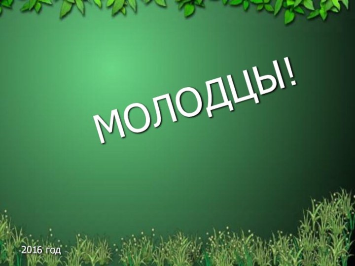 2016 годМОЛОДЦЫ!