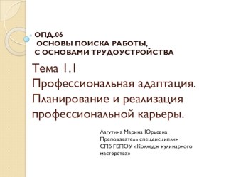 Презентация урока Планирование и реализация профессиональной карьеры. презентация к уроку