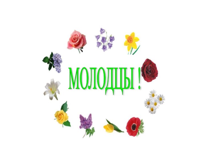 МОЛОДЦЫ !