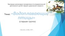 Программа организации познавательно-исследовательской деятельности в старшем дошкольном возрасте по теме Водоплавающие птицы презентация к уроку по окружающему миру (старшая группа)