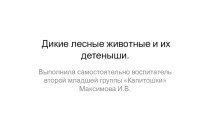 Дикие лесные животные видеоурок по окружающему миру (младшая группа) по теме