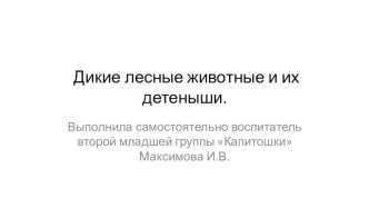 Дикие лесные животные видеоурок по окружающему миру (младшая группа) по теме