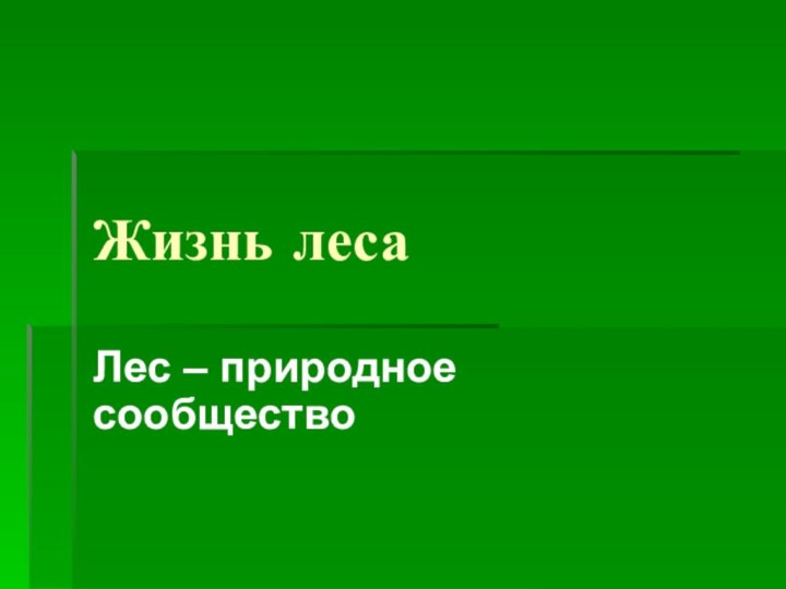 Жизнь лесаЛес – природное сообщество