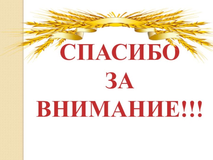 СПАСИБО ЗА ВНИМАНИЕ!!!