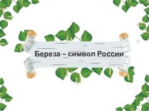 Береза - символ России проект