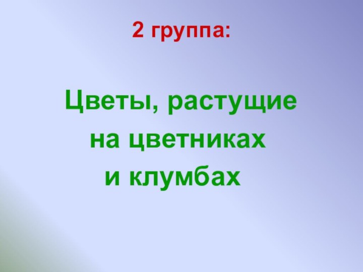 2 группа:   Цветы, растущие    на цветниках