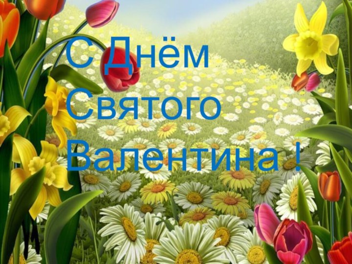 С Днём Святого Валентина !