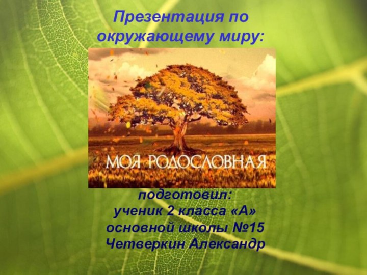 подготовил:ученик 2 класса «А»основной школы №15Четверкин АлександрПрезентация по окружающему миру: