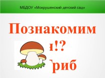 Познакомимся!? Я гриб! презентация к уроку (младшая группа)